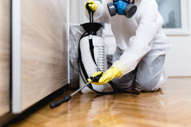 Wasp Removal Services in Hunters Creek, FL