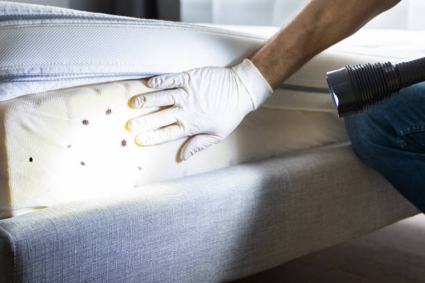 Best Best Pest Control Companies  in Hunters Creek, FL