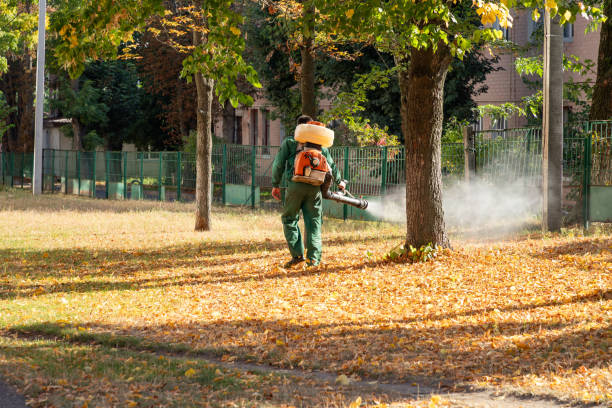 Best Commercial Pest Control Services  in Hunters Creek, FL