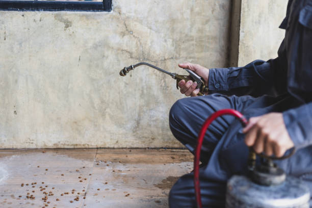 Best Local Pest Control Services  in Hunters Creek, FL